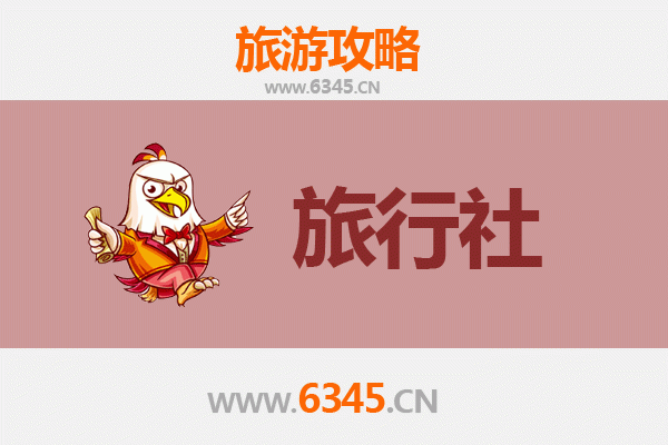 日照东港本地旅行社推荐：精选靠谱旅行社与实用游玩攻略