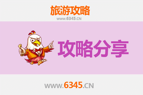 日照东港至湄洲岛旅游攻略：跟团 vs 自由行深度解析